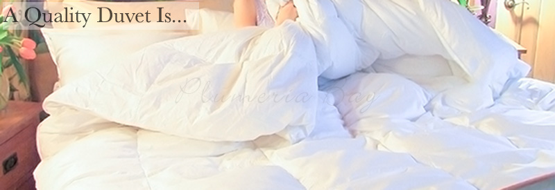 What Is Duvet Cover Mean The Duvets Bedding Duvet Comforter Sets Collections