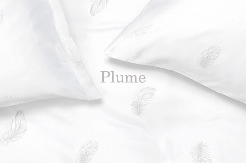 Schlossberg of Switzerland Jacquard Essentials - Plume Blanc